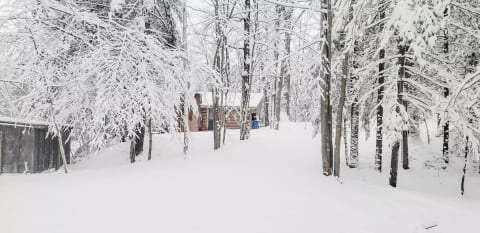 Quiet, Private & Secluded