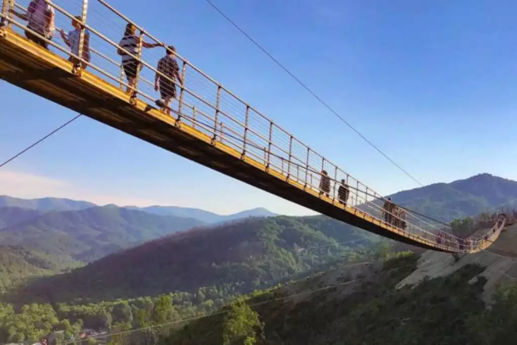 Mountain Escape - Endless Views - 2 Pools/Hot Tub - Gatlinburg