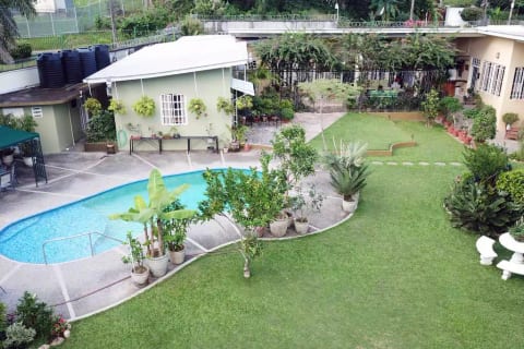 Pool lined by bonsai and tropical fruit trees.