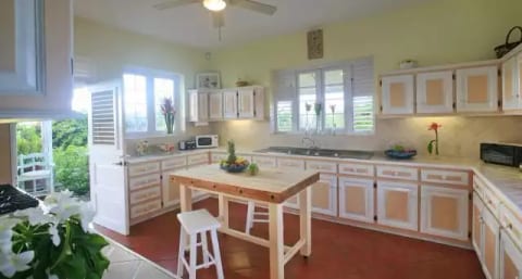Wild Orchid - Saline Point Cap Estate
