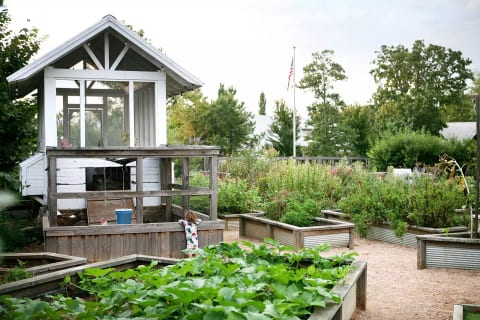 Gather up your food scraps & head to the Community Garden to treat the neighborhood chickens to some goodies.