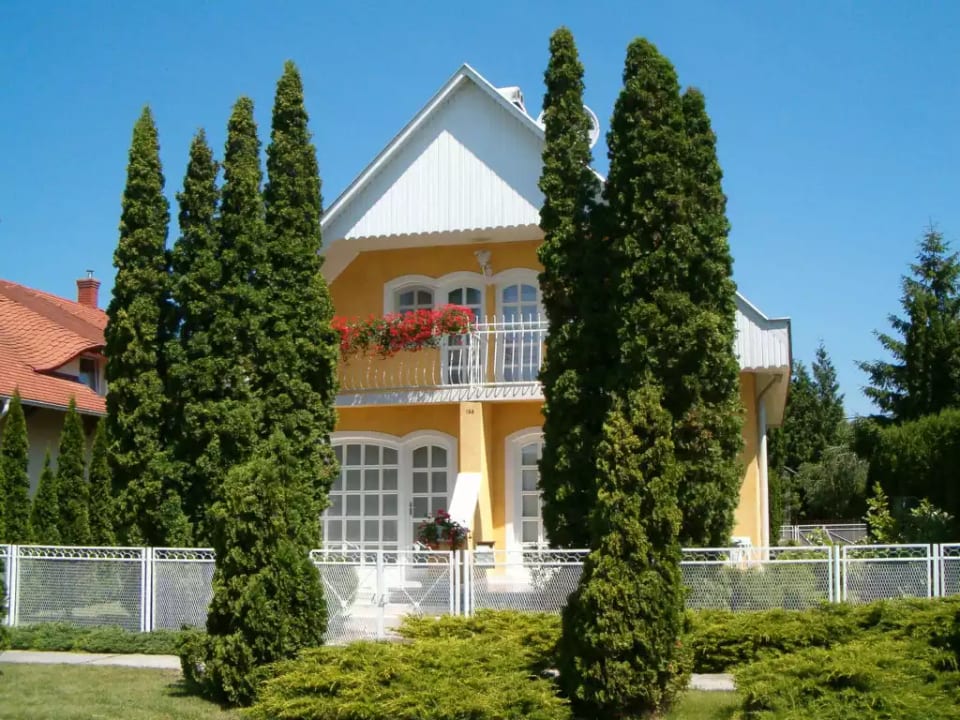 Thuja - Balatonmáriafürdő