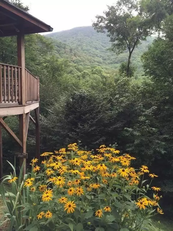 Spring Flowers - Rich Summit View Cabin Rental  - Boone