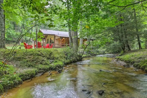 Blue Ridge Vacation Rental | 2BR | 2BA | 800 Sq Ft | 4 Steps to Enter
