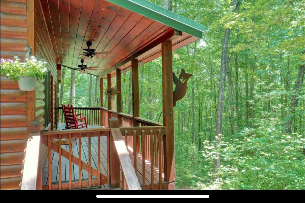 Probably not the only bear you'll see as you gaze out into the vast tree tops. - The Woods At Whitetail Ridge- 2 fireplaces- - Ellijay