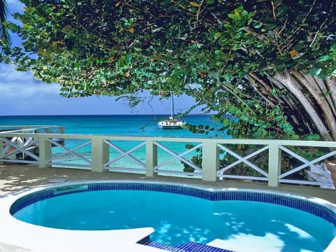 Blue Lagoon - The Garden