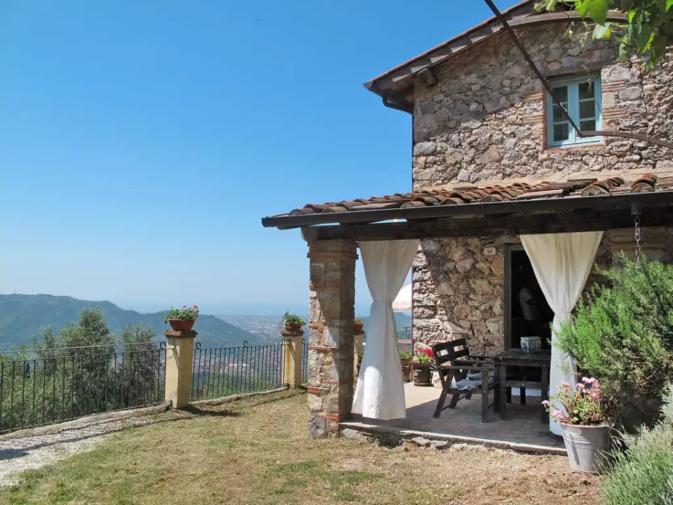 Olivella - Camaiore