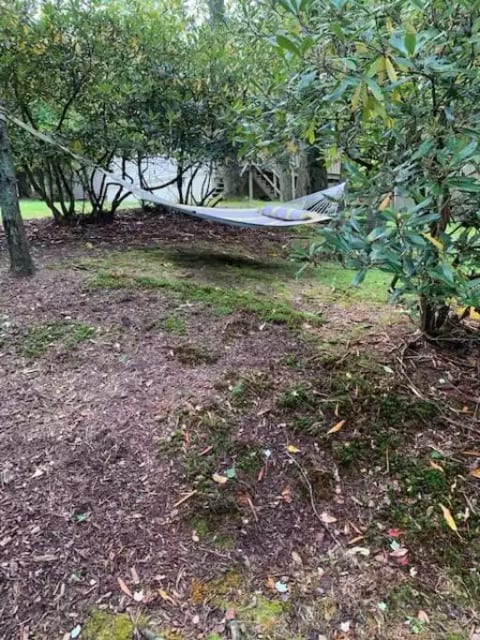 Hope And Harmony- Lake Harmony vacation rental