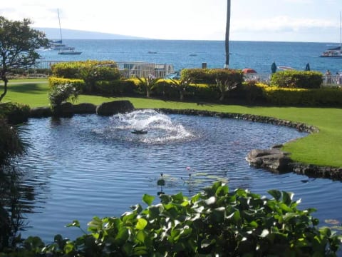 Whaler Grounds