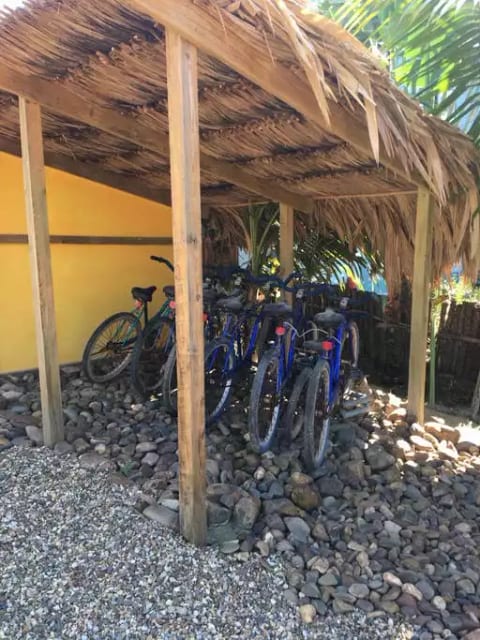 Complimentary Bike