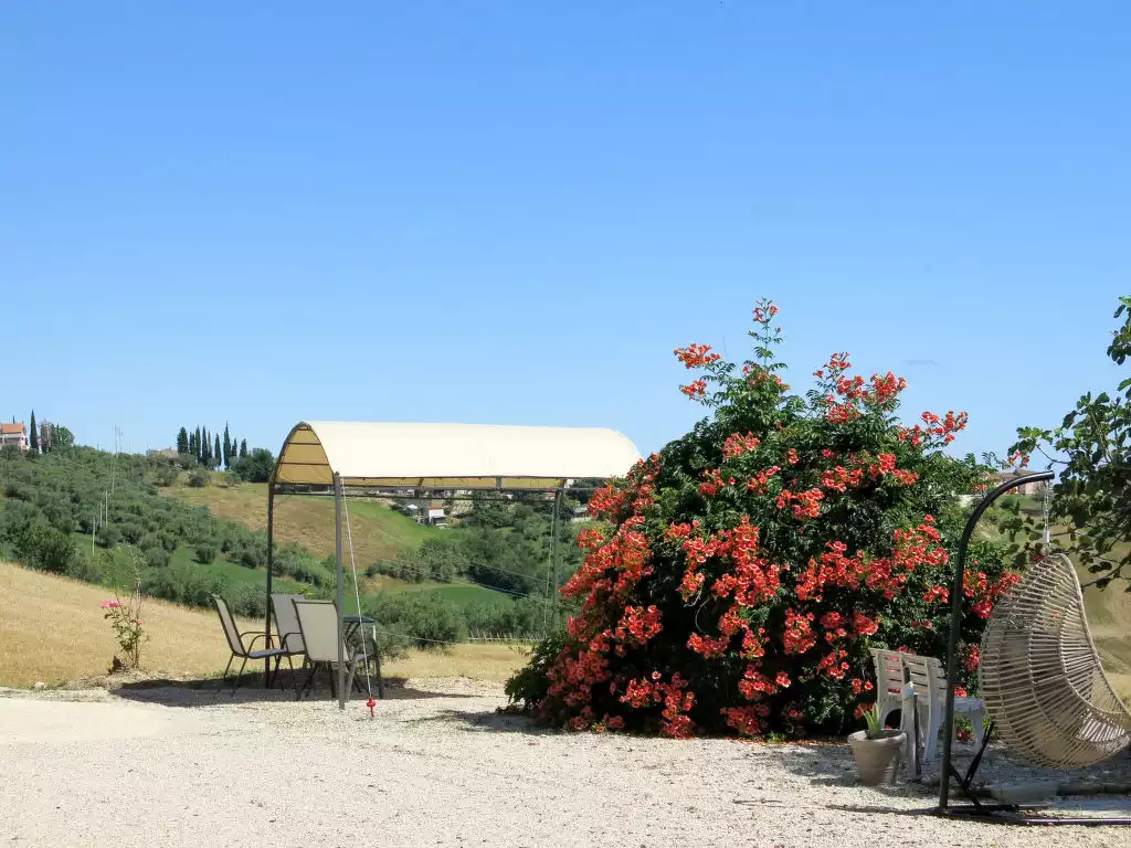 Extravagante (RSO152) - Roseto degli Abruzzi