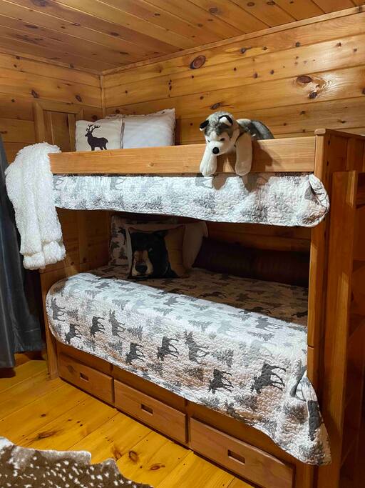 Bunk has pull out trundle too. - The Woods At Whitetail Ridge- 2 fireplaces- - Ellijay