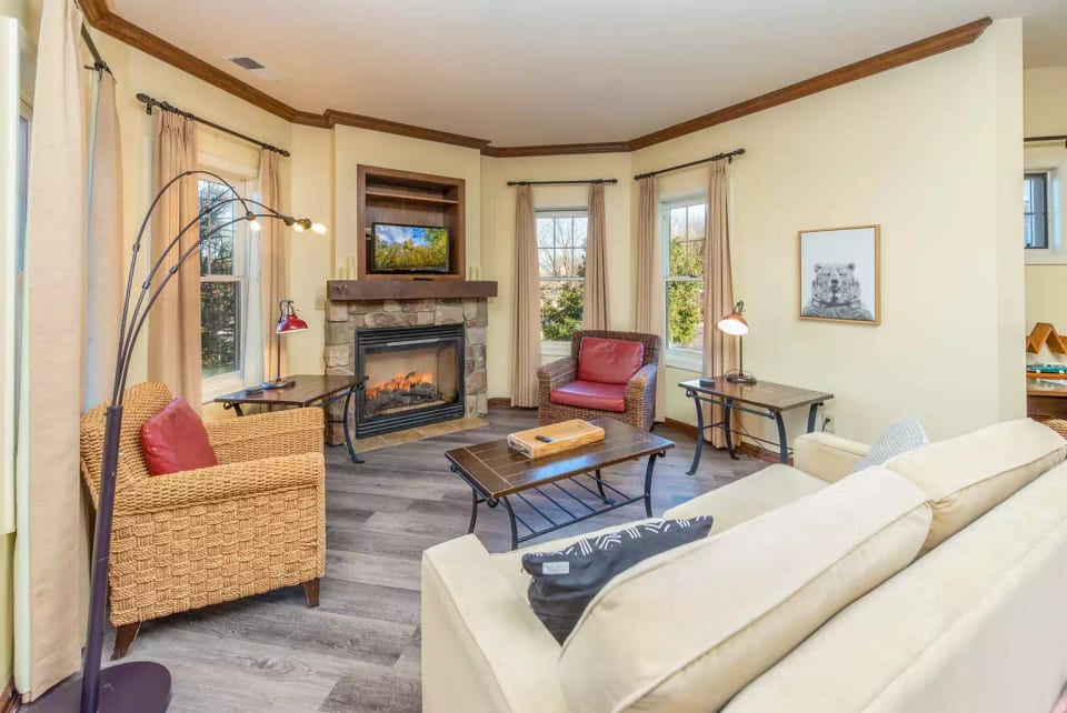 Living Room With Pull Out Sofa
