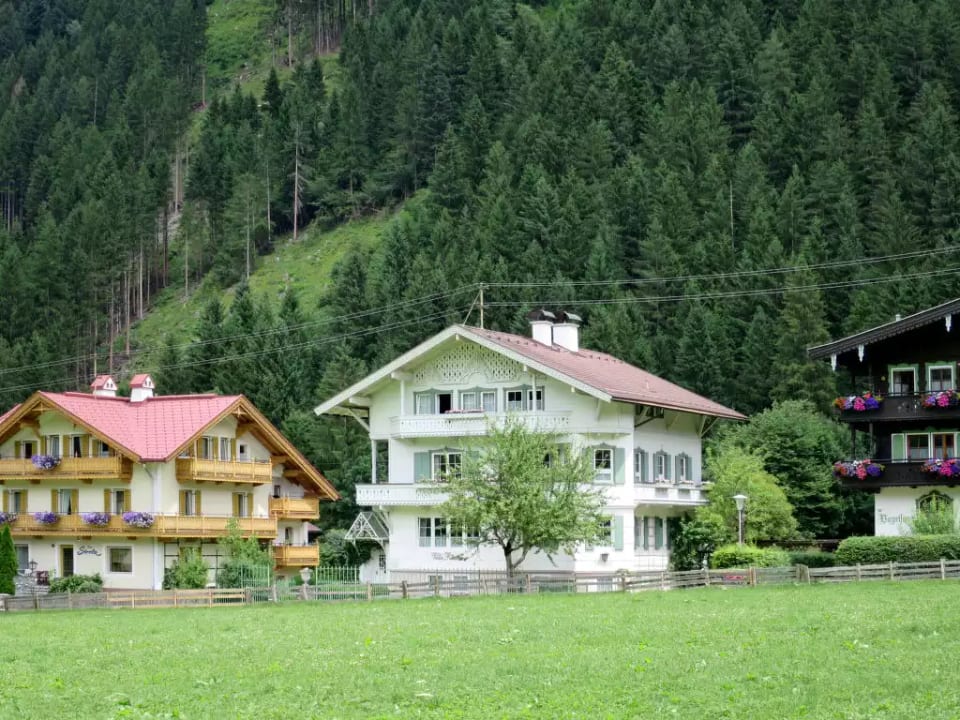 Rauter - Mayrhofen