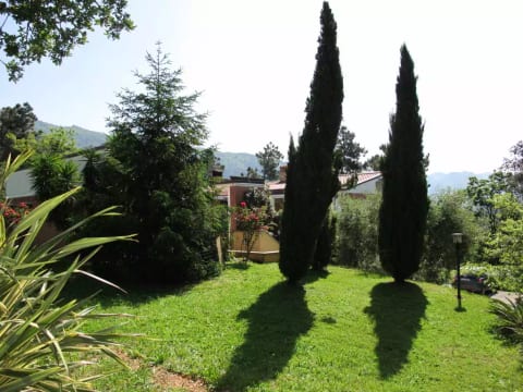 Vittoria