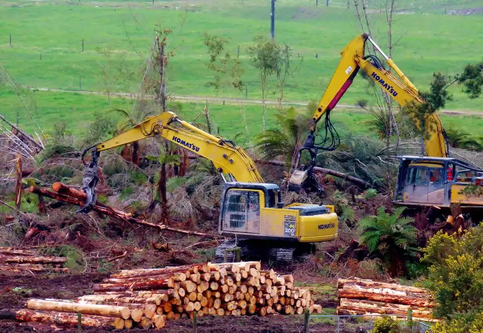 A recent cyclone blew down our pine plantation so we harvested the logs. Now we are restoring the land with native trees. $10 of every booking buys you a tree we plant for you! - 2 PRIVATE BEDROOMS - STAY ON A FARM 10min to town. - Arahura Valley