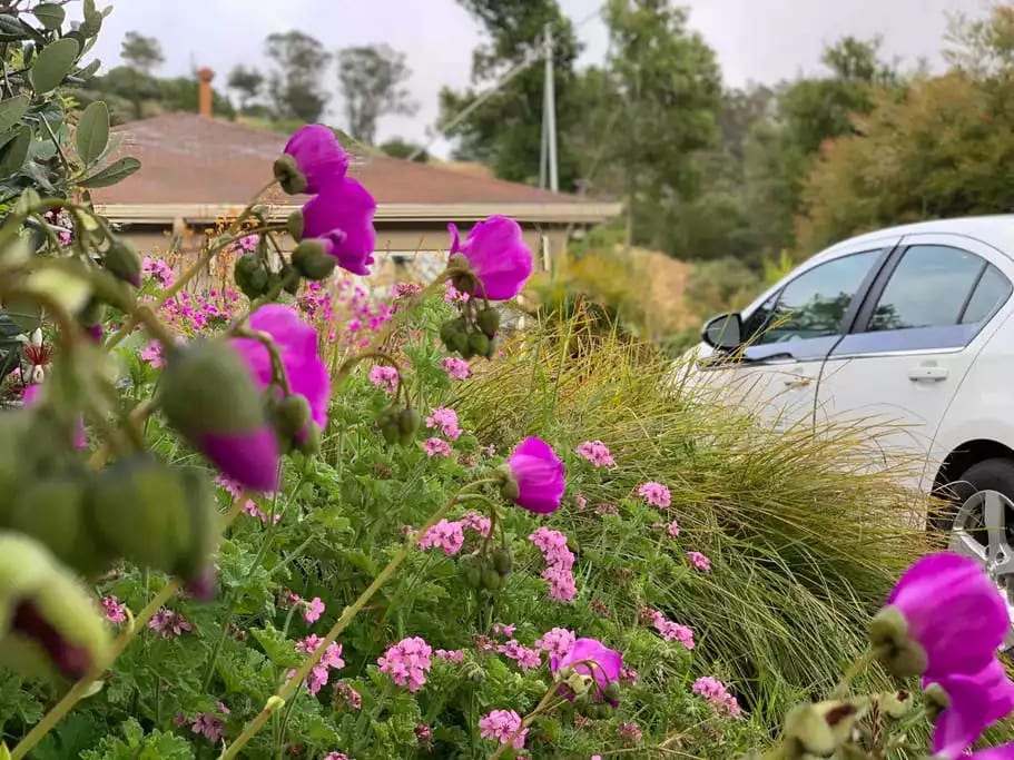 Really fell in love with this property. It feels like a retreat! Comfortable, very clean and so much attention to detail. The landscaping makes it feel as though you've stepped into a little paradise all your own. And the view: phenomenal! David,8/19