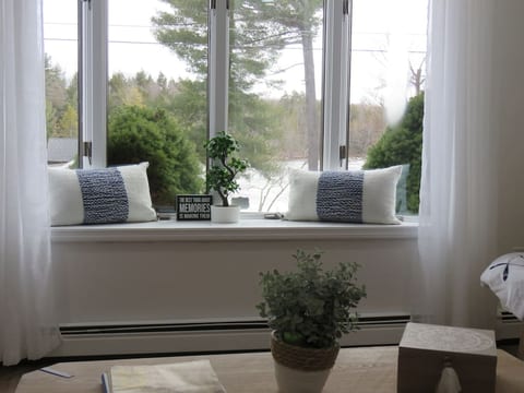 Window view of the lake