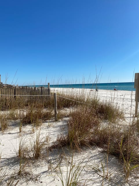 The sand is white as snow. The most beautiful I've seen in the entire world.