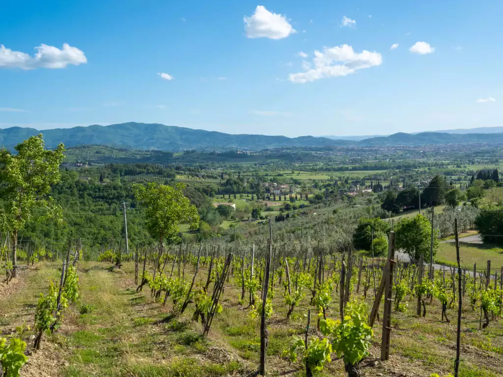 Il Castello (ARZ120) - Arezzo