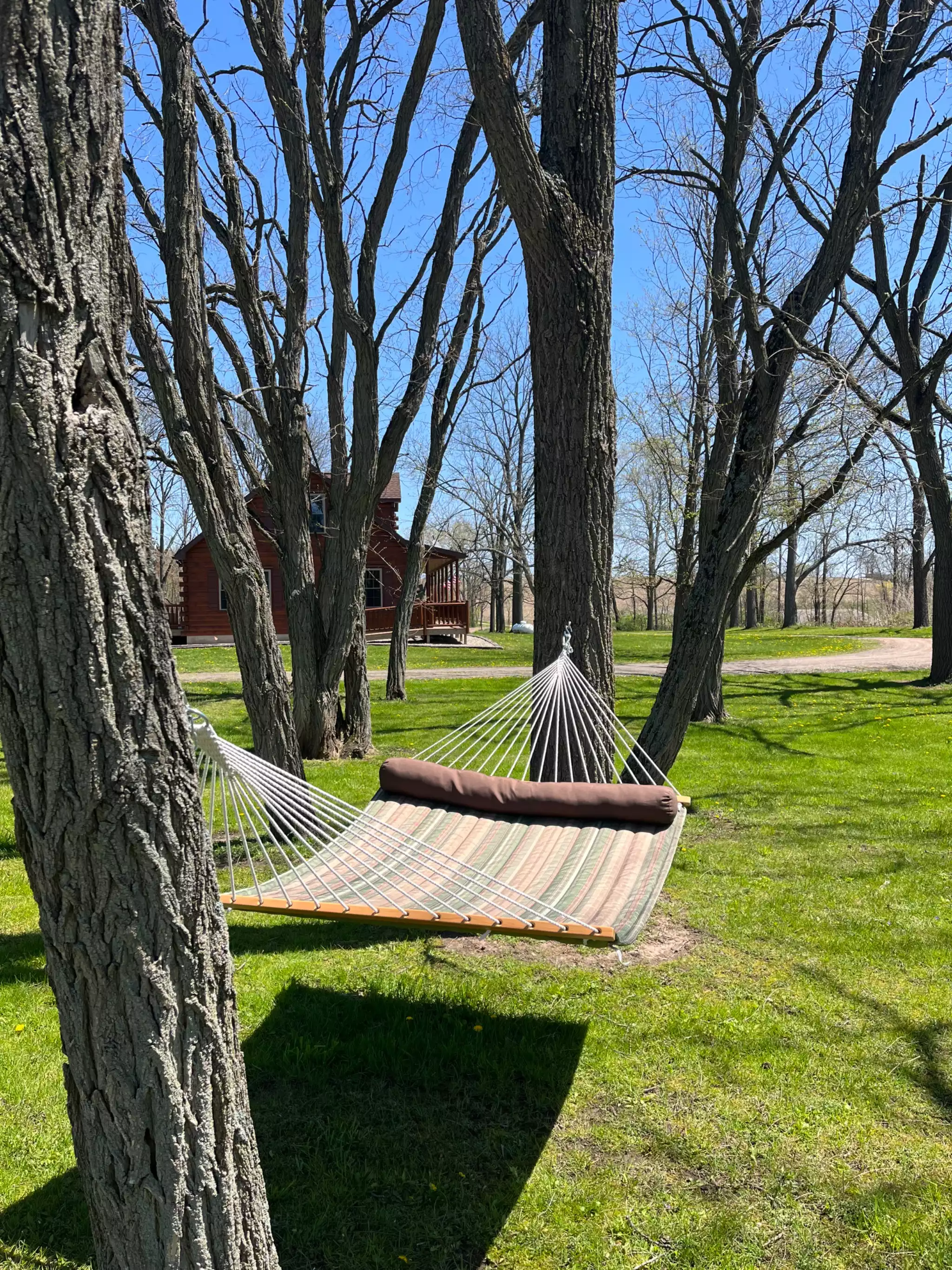 BC Retreat! Secluded, peaceful escape  - Clyde