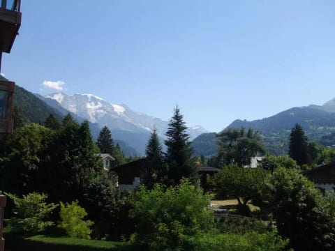 Castel des Roches B20
