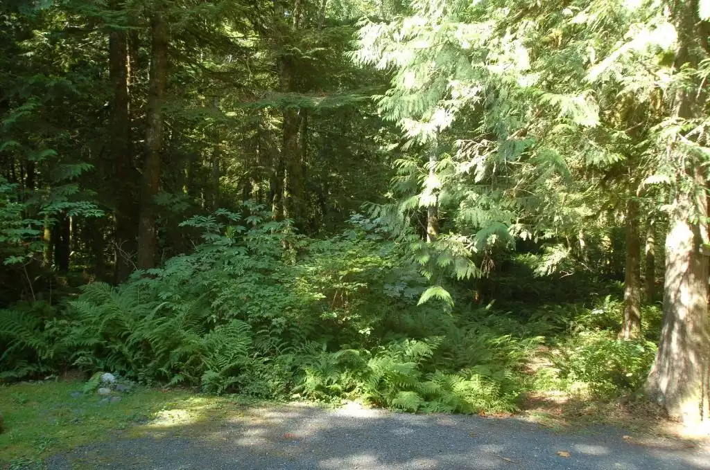67MF - Mt Baker Lodging Cabin - Sleeps 5! - Maple Falls 67MF - Mt Baker Lodging Cabin - Sleeps 5! - Maple Falls