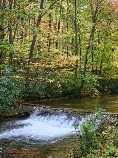 Our backyard