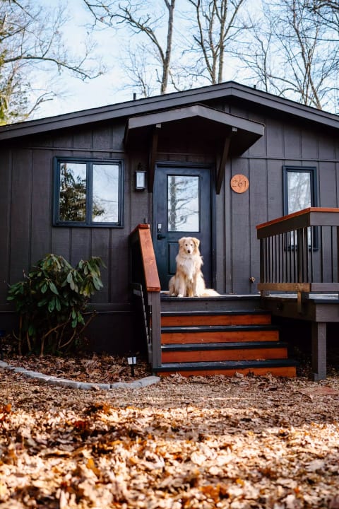 Pet friendly cabin -- treats and bowls available on site!