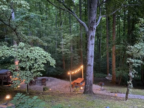 Outdoor fire pit area with hot tub, hammock, picnic table and charcoal grill