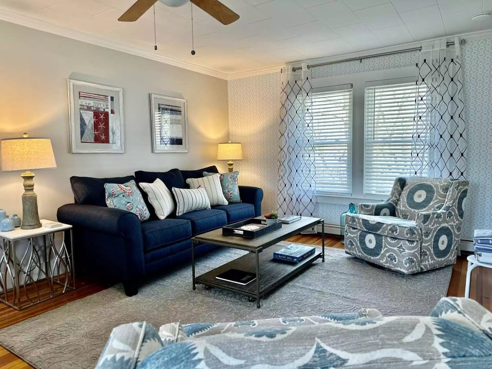 Living Room with Queen pull out couch