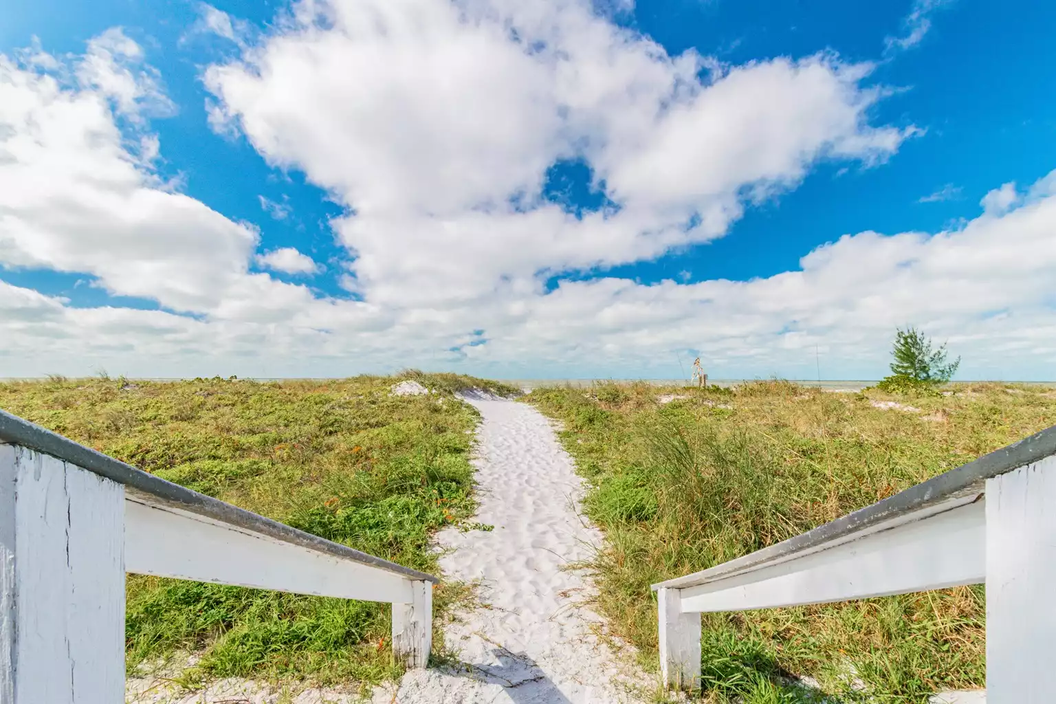 Sunset Paradise #5 - Indian Rocks Beach