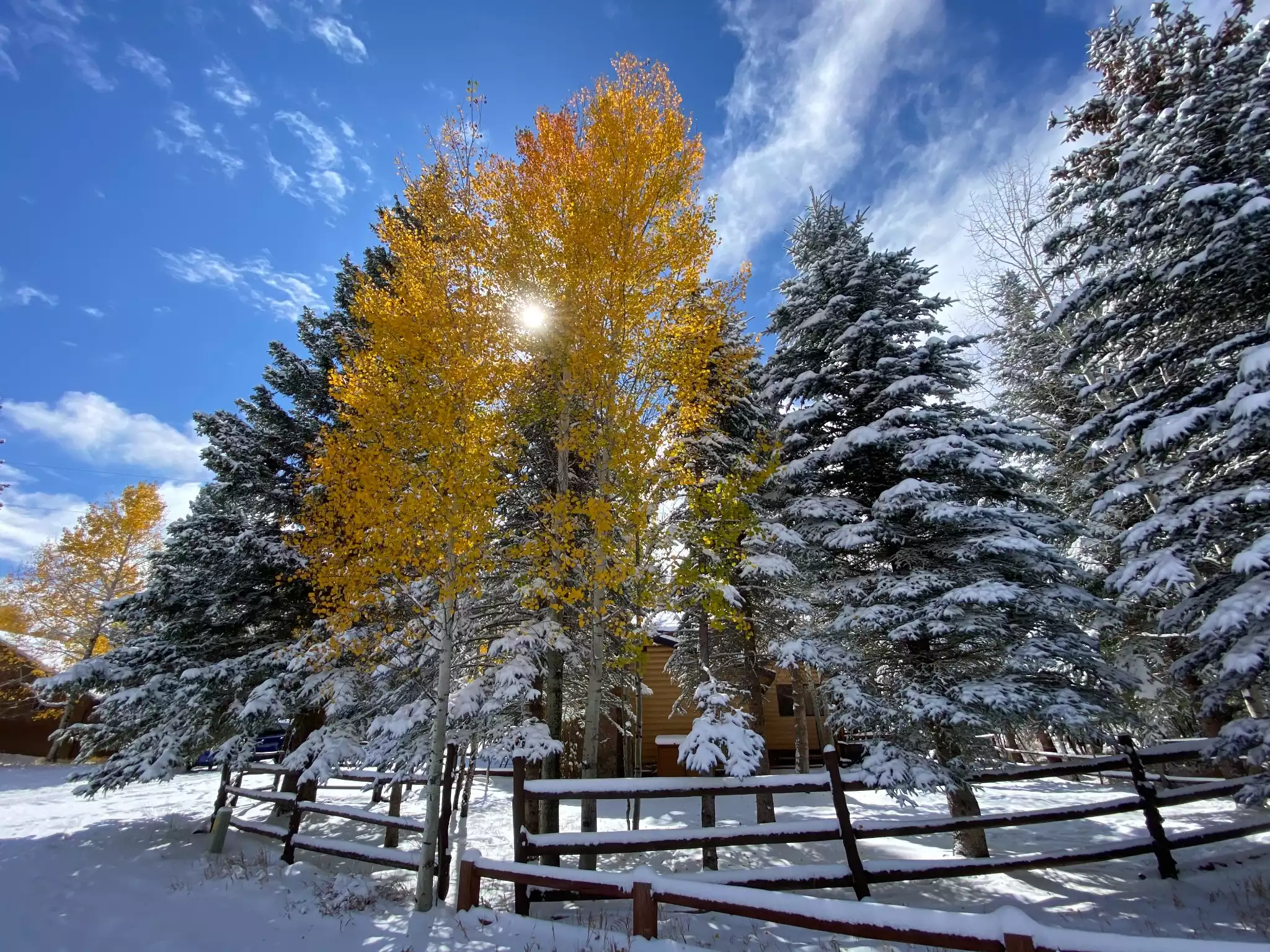 Greer River's Edge Cottage - Greer