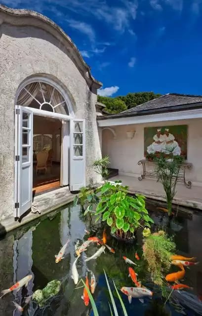 High Cane - Sandy Lane