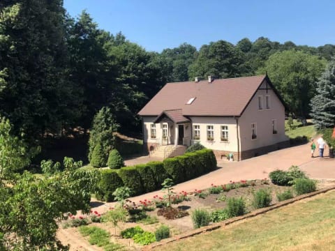 Zielona Dolina Młyn