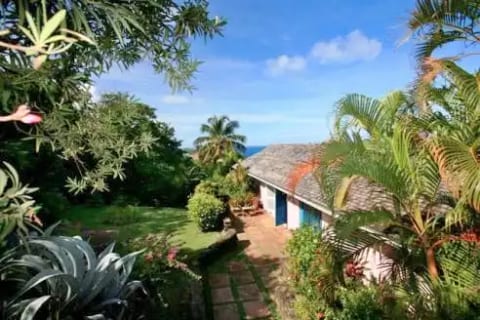 Sand Dollar - Cap Estate