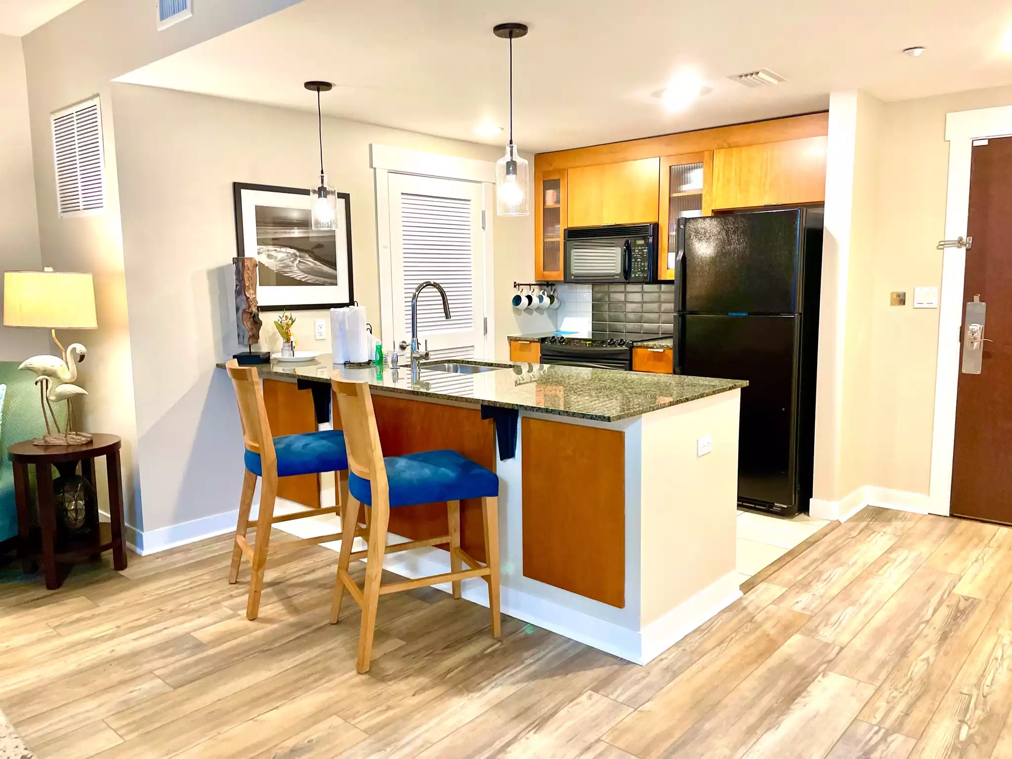 Fully equipped Kitchen with ice maker and filtered water dispenser