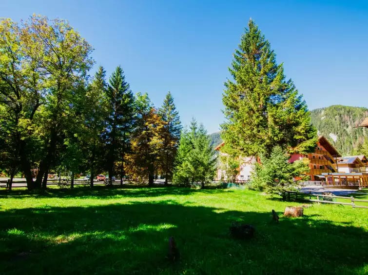 Cesa Minach - Trentino