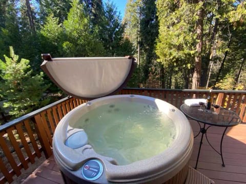Spacious Cabin, pvt lake access, movie rm, hot tub