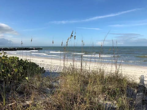 Beautiful day at the beach