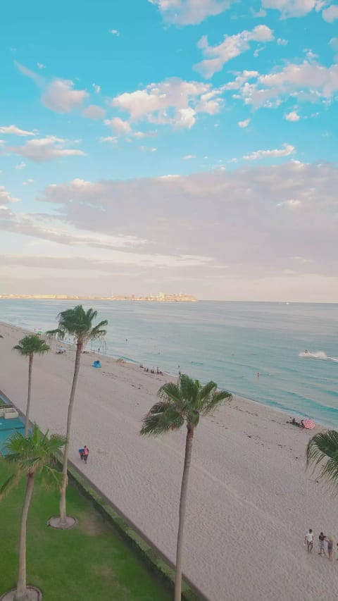 Ocean and Harbor Views