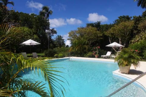 Heronetta - Sandy Lane Beach