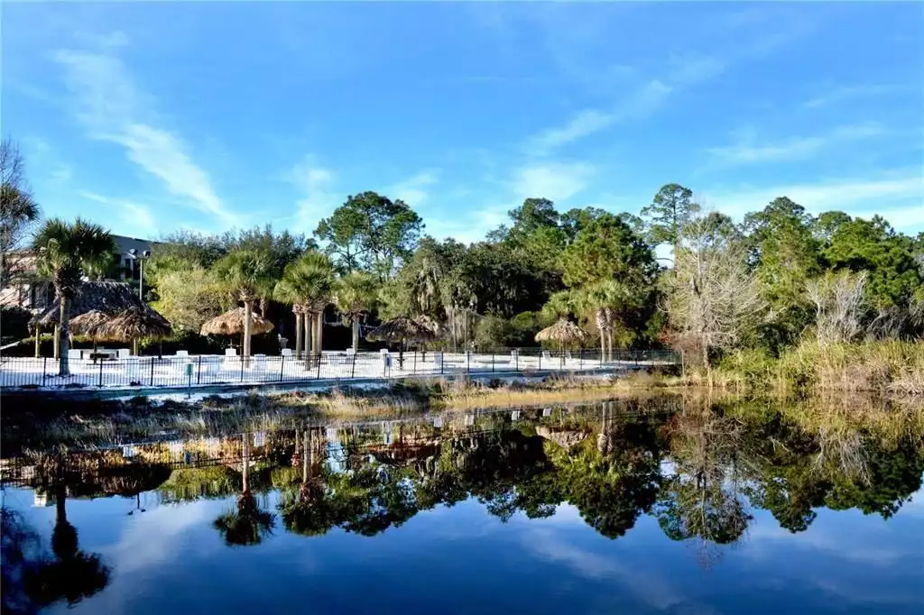 Oasis 15 minutes from Disney - Davenport