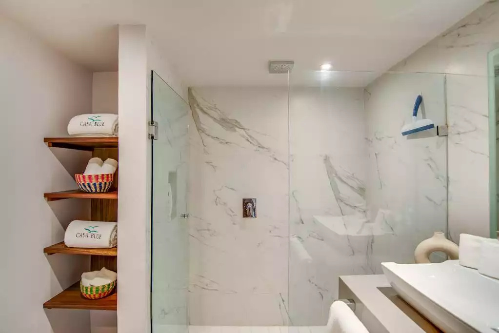 Guest bathroom with rain shower