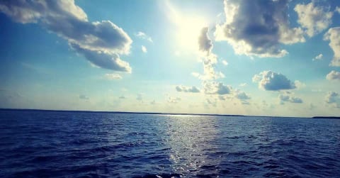 Gorgeous view of Lake Marion