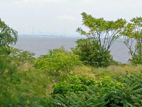 View of NYC skyline on a clear day