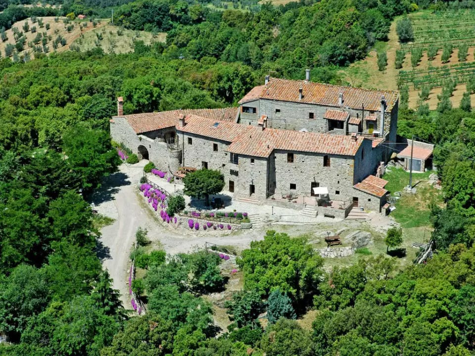 Mimosa - Borgo la Civitella - Roccastrada