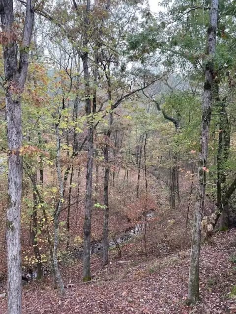 View of autumn and hearing the sounds of falling leaves from the back deck