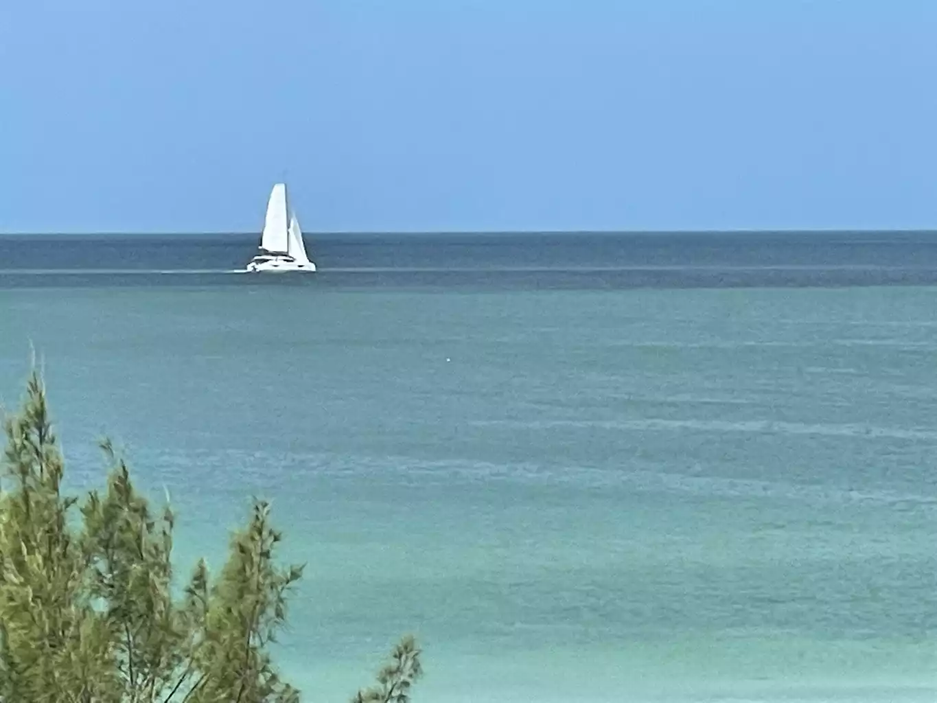 Blue Heron Cottage #1 - Indian Rocks Beach