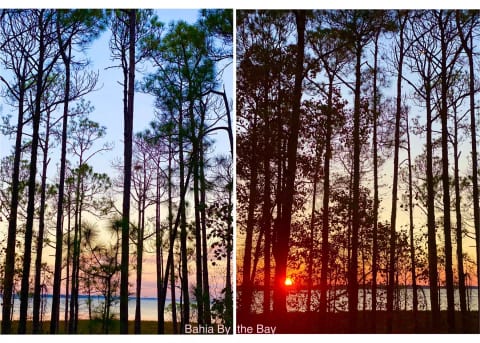 Beautiful views of the Bay morning and night